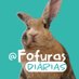 animais fofinhos que aquecem o coração (@FofurasDiarias) Twitter profile photo