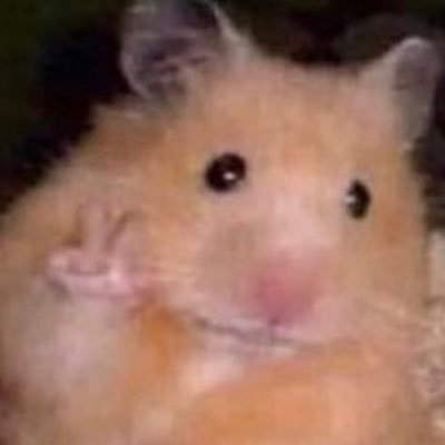 ktseeobb's profile picture. She/Her. Quick to dead the bull like a matador