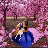 Nan_Z33 (@nanzroha) 's Twitter Profile