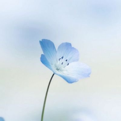 自分記録・日記のようなもの
(自分語りでいいじゃない)
#HSP #AC #INFJーT
/ 好きなものを好きって言うのも楽じゃない
【映画·音楽·読書·妖怪·猫好き】