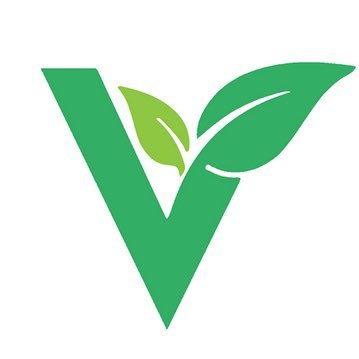 JoeValidity1's profile picture. Software Engineer collaborating with the Validity Harmony ONE validator.