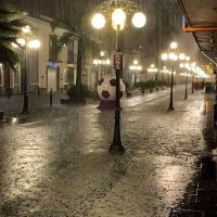 Driver0926 (@aureliolozanoj2) 's Twitter Profile