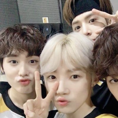 bbangnyubae's profile picture. #뉴배훈: 3 angels, bless up ✨
— read my carrd please ! CTTO .