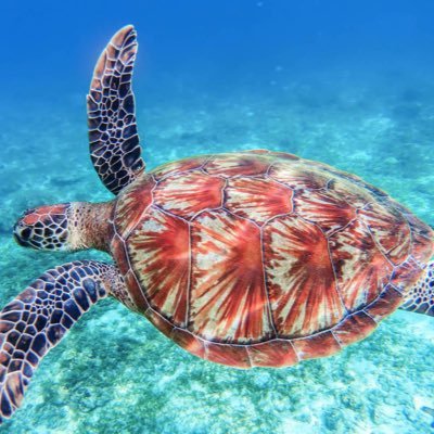 Matthew Reitenauer (@MatthewReitena1) | Twitter