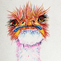 Big Emus (@bigemus) 's Twitter Profile