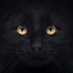 Carlos Frederico (@carlosf18122223) Twitter profile photo Carlos Frederico (@carlosf18122223) Twitter profile photo