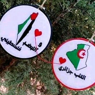 MarwaMiwa11's profile picture. 