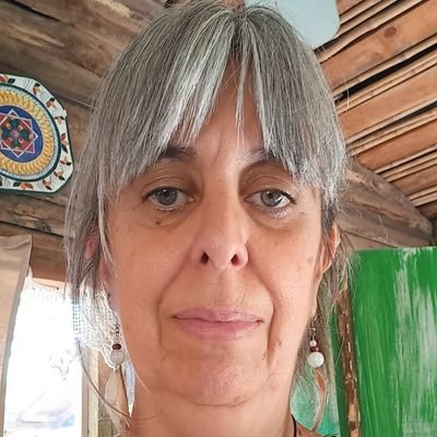 Profe de matemáticas.Corazón azul.Animalista_ amo las 🐢. Sueño con un Chile justo.+ #38%