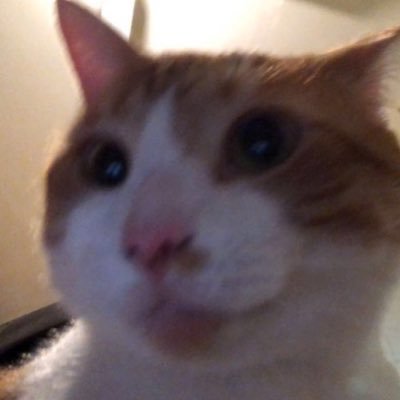 jaeさんのプロフィール画像