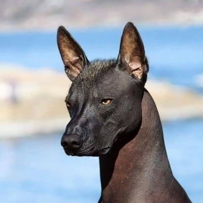 JuanLeo75924262's profile picture.