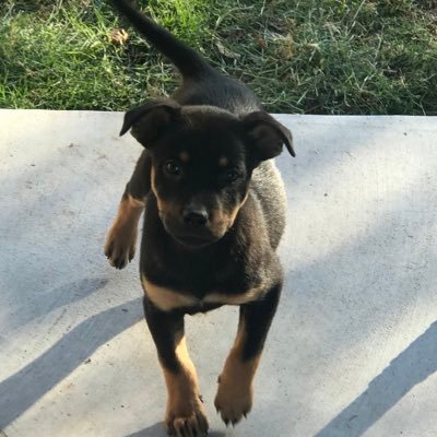 taylorb49276451's profile picture. 