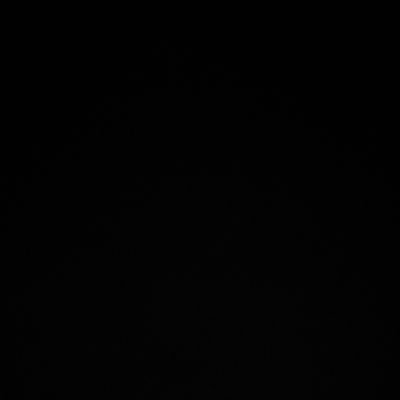 muisc1111's profile picture. 