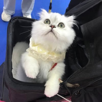 forestk82265441's profile picture. 