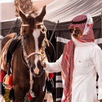 مجدي السلمي (@m__a________) 's Twitter Profile