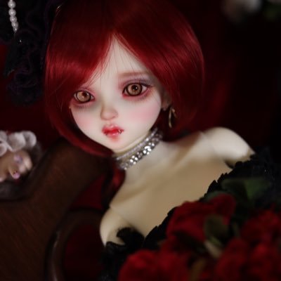 DOLL_HAM_Alc Profile Picture