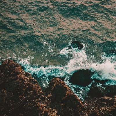 hedibritt's profile picture. Creature of curiosity