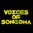 voicesofsongoma