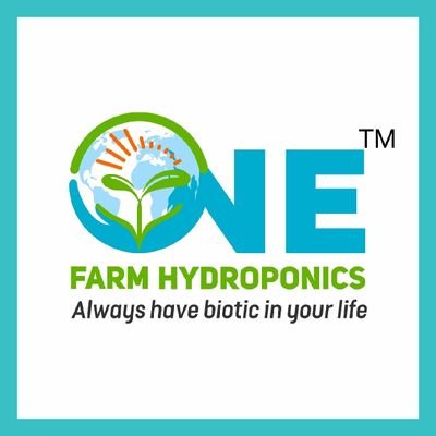 Hydroponic farming, where families can get fresh and vitamin-rich vegetable supply at home by making an affordable investment