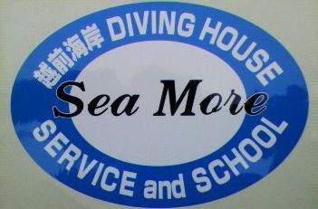 SEAMORE_dive Profile Picture