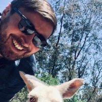 Joe N (@joe) 's Twitter Profile