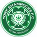 York Shamrocks FC (@yorkshamrocksfc) Twitter profile photo York Shamrocks FC (@yorkshamrocksfc) Twitter profile photo