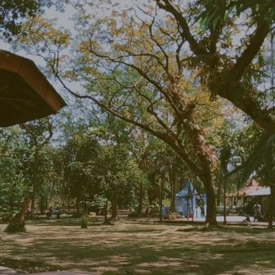 FemmyLianaP's profile picture. Saya hanya orang biasa.