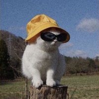 Cheery (@cheeryrl) 's Twitter Profile