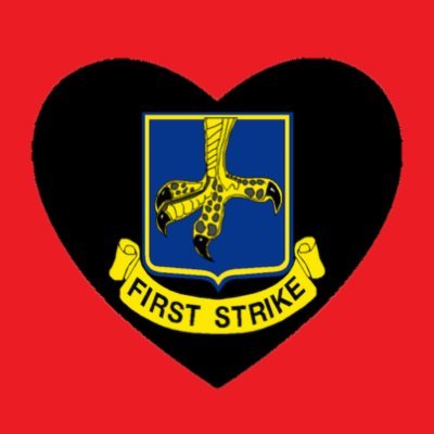 FirstStrikeVet