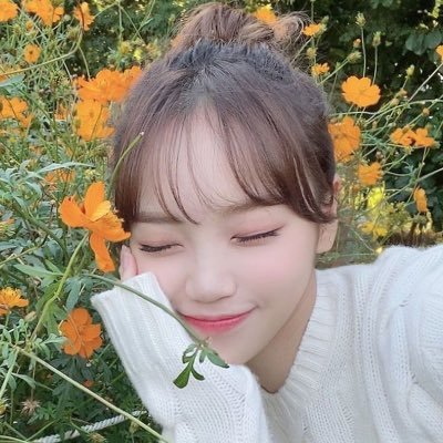 ssamchiving Profile Picture