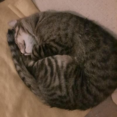 long_lashes_4u's profile picture. Ljubav postoji. Nisam Milica, ali imam duge trepavice.