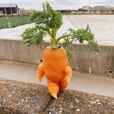Okazu3939's profile picture. 自分からツイートは無いですが、気になった内容をブックマークの代わりに、いいねなどしてます。