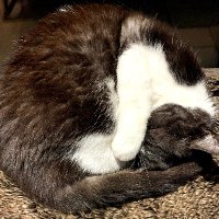 Joe Tab (@joetab5) 's Twitter Profile