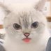 Aether (@nebuladusts) Twitter profile photo Aether (@nebuladusts) Twitter profile photo
