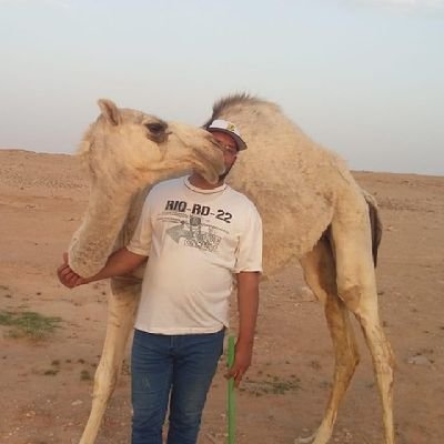 اهتماماتي متعدده دين*سياسه* ديكور*وتجارة الأدوات الصحية واهتم جداااااا بالشعر والزجل، وفلسطين قضيتي وقضية الشرفاء 🇵🇸🇵🇸..اعشق الهدوء.@ الخاص مش ممنوع