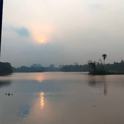 Shiladi89999392's profile picture. 