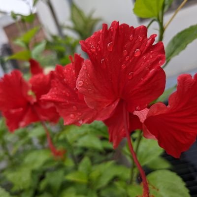 Abhishek__Pune's profile picture. 