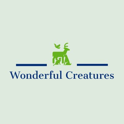 Zoologist | Interested in environment, wildlife and various animal species | I aspire to spread awareness and knowledge about living creatures #Greenearth