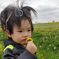 Bronson Hui (@bronsonhui) 's Twitter Profile Photo Bronson Hui (@bronsonhui) 's Twitter Profile Photo