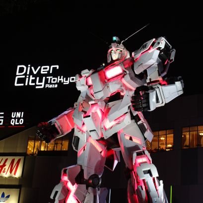 しょう（見る専門）