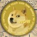 DogeCoin X2 (@DogecoinX2) Twitter profile photo