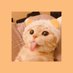 Winnie the B (@kaushik12788009) Twitter profile photo Winnie the B (@kaushik12788009) Twitter profile photo