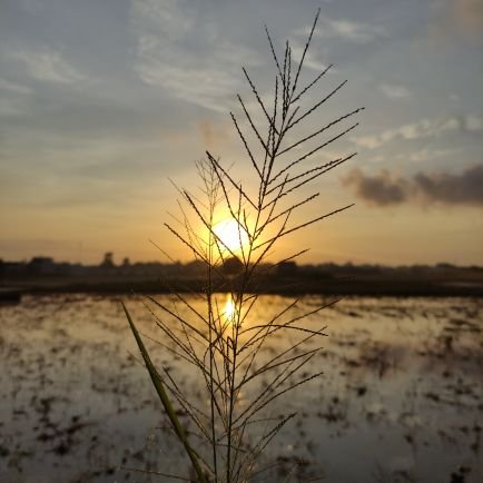 MaiGian70587820's profile picture. làm Việt