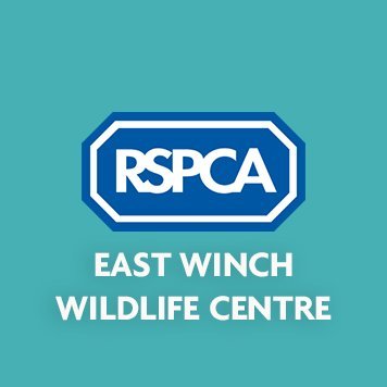 An @RSPCA_Official wildlife centre that cares for wildlife in need!
Not monitored 24/7. 
☎ Report animal welfare concerns on 0300 1234 999.
🐦🐣🦡🦦🦇🦔🐿🐰🐭🦊