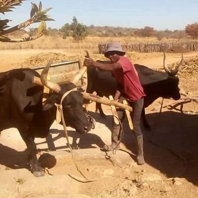 young farmer... Tottenham Hotspur fan...