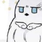 さゆさんのプロフィール画像