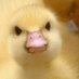 MrPachman (@pablo_zgz93) Twitter profile photo MrPachman (@pablo_zgz93) Twitter profile photo