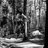lewishaberfield's profile image