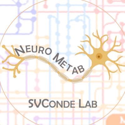 Our lab is focused on exploring the mechanisms behind metabolic diseases and on the identification of prevention and treatment strategies for these pathologies.