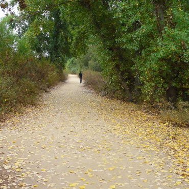 privor11111's profile picture. 