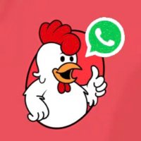 DamiPollo (@damipollo) 's Twitter Profile